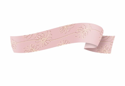 FITA MAXI 32MMX100M PAPER LOOK BORD/ROSE
